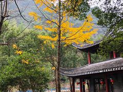 -宁波五龙潭景区