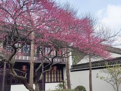 -茅家埠