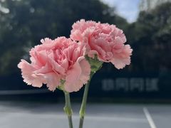 -快网网球俱乐部(徐汇爱建园店)