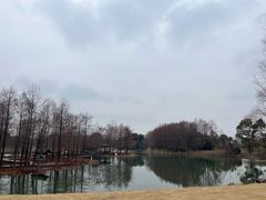 -梁鸿国家湿地公园