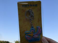 -广州长隆飞鸟乐园