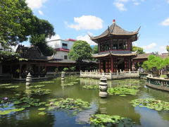 -碧江金楼