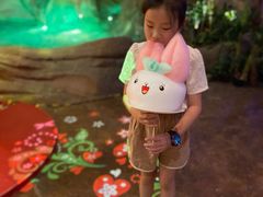 -杭州开元森泊度假乐园