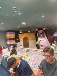 点击看大图 -meland亲子乐园(深圳领展中心城店)