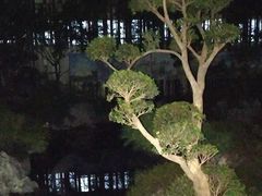 -八分园