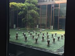 -上海崇明金茂凯悦酒店