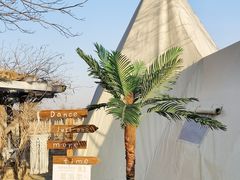 -安德鲁户外烧烤帐篷营地(马泉营店)