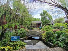 -大亚湾红树林城市湿地公园