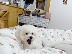 -宠颐生中康贝怡动物医院