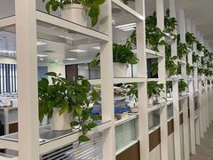 -谢冬律师团队·专注离婚案件·君澜律所