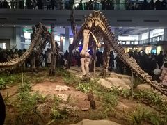 -自贡恐龙博物馆