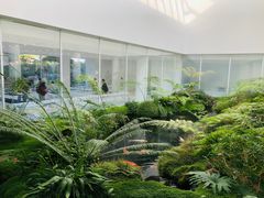 -罗红摄影艺术馆