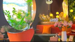 -花隐·美芙炫海菲秀皮肤管理中心