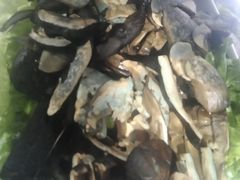 -爱膳菌锅锅(阳南店)
