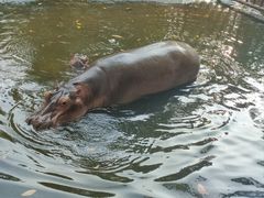 -海南热带野生动植物园