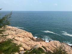 -广东惠东海龟国家级自然保护区
