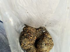 -叶氏麻糍(鼓浪屿店)