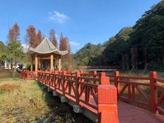 -广州市石门国家森林公园