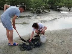 -红树林天天赶海