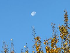 -北京国家会计学院