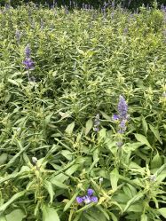 -简法造型·品牌形象店