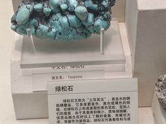 -天津自然博物馆