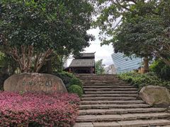-活水公园