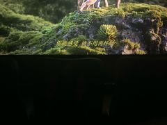-英皇电影城(英皇集团中心IMAX店)