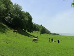 -新疆那拉提国家旅游度假区