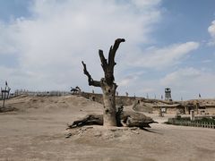 -镇北堡西部影城