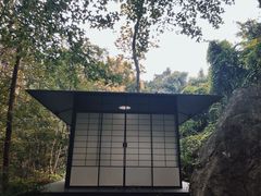 -中国茶叶博物馆(双峰馆区)