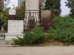 -团结湖公园