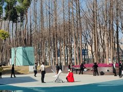 -后襄河公园