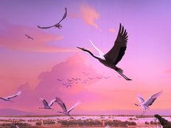 -中国湿地博物馆