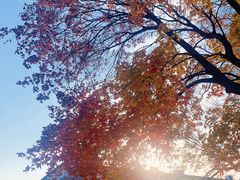 -长辛店二七公园