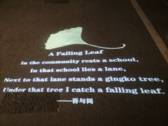 -Punchline Coffee&Roaster(同济大学店)