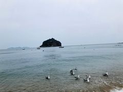 -棒棰岛宾馆景区
