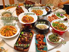 -大鸽饭(马王堆店)