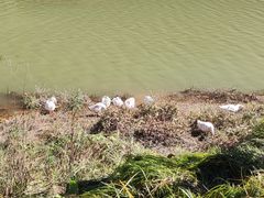 -黄椅山火山森林公园