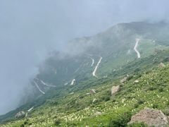 -白草畔自然风景区