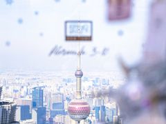 -上海柏悦酒店