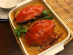 -茉莉.Red Crab