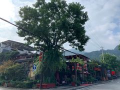 -秦岭风景区