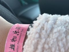 -南宫五洲植物乐园