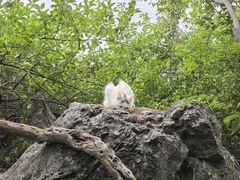 -紫金山天文台