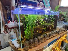 -Rabbit Cafe私房西餐甜点咖啡(栖霞路店)