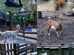 -南戴河国际娱乐中心