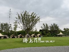 -杭州湾海上花田景区