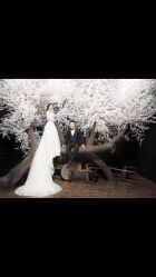 韩国艺匠ARTIZ&nbsp;STUDIO-THE QUEEN(北京店)