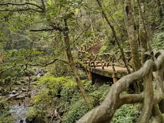 -江西阳明山国家森林公园